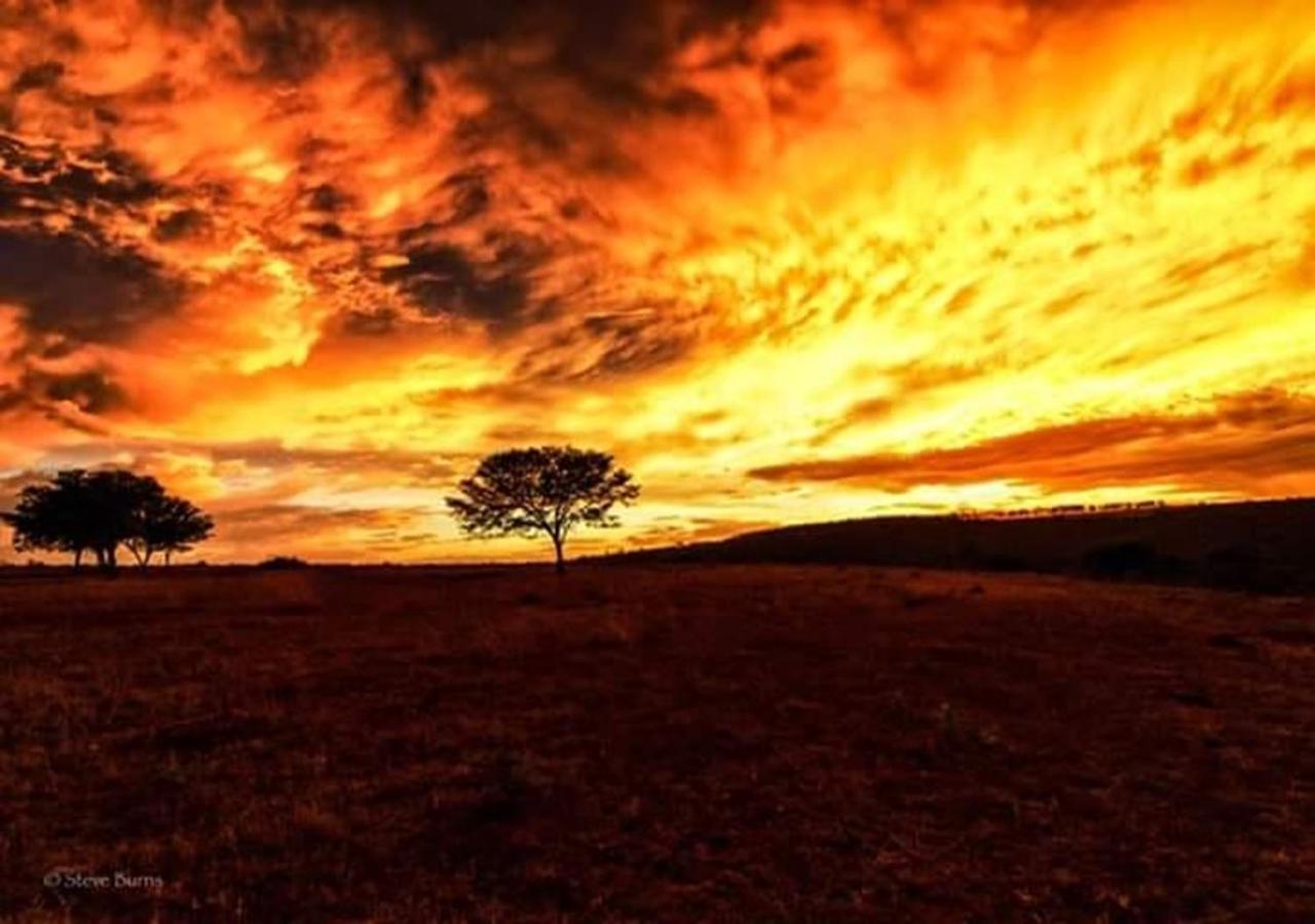The Ranch House At African Safari Lodge Grahamstown Dış mekan fotoğraf